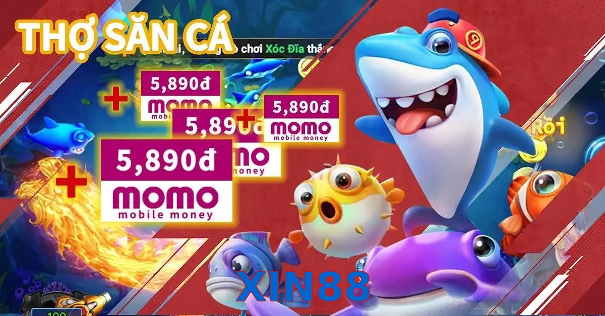 XIN88